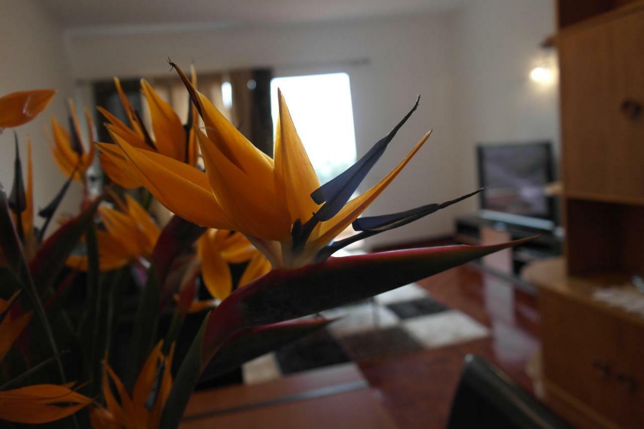 Inmaculado Apartment Funchal  Esterno foto